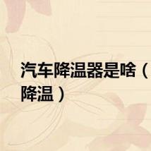 汽车降温器是啥（汽车降温）