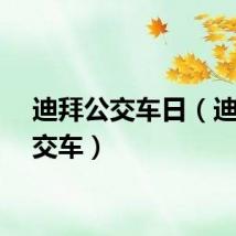 迪拜公交车日（迪拜公交车）
