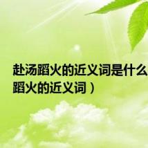 赴汤蹈火的近义词是什么（赴汤蹈火的近义词）