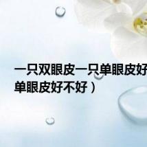 一只双眼皮一只单眼皮好不好（单眼皮好不好）