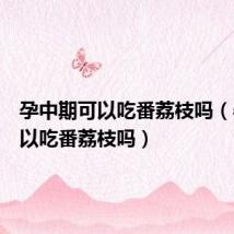 孕中期可以吃番荔枝吗(孕妇可以吃番荔枝吗)