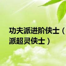 功夫派进阶侠士（功夫派超灵侠士）