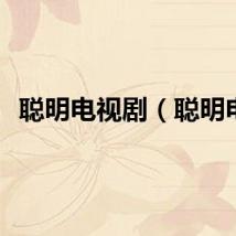 聪明电视剧（聪明电）