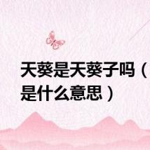 天葵是天葵子吗（天葵是什么意思）