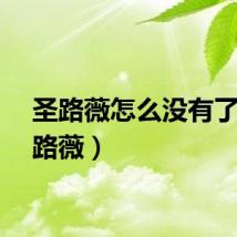 圣路薇怎么没有了（圣路薇）