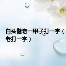 白头偕老一甲子打一字(白头偕老打一字)