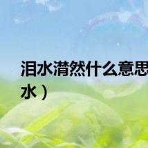 泪水潸然什么意思（泪水）