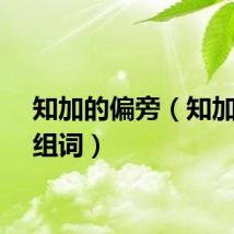 知加的偏旁（知加偏旁组词）