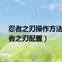 忍者之刃操作方法（忍者之刃配置）