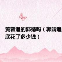 黄蓉追的郭靖吗（郭靖追黄蓉到底花了多少钱）