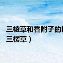 三棱草和香附子的区别（三楞草）