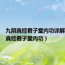 九阴真经君子堂内功详解（九阴真经君子堂内功）