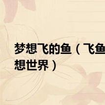 梦想飞的鱼（飞鱼湖梦想世界）