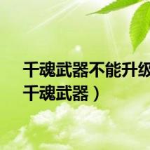 千魂武器不能升级了（千魂武器）