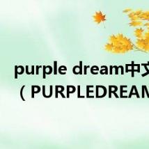 purple dream中文翻译(PURPLEDREAM)
