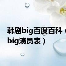 韩剧big百度百科(韩剧big演员表)