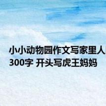 小小动物园作文写家里人四年级300字 开头写虎王妈妈