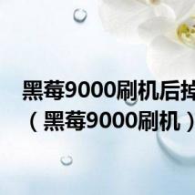 黑莓9000刷机后掉电快(黑莓9000刷机)