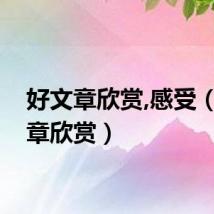 好文章欣赏,感受（好文章欣赏）