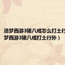 造梦西游3猪八戒怎么打土行孙(造梦西游3猪八戒打土行孙)