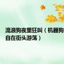 流浪狗夜里狂叫(机器狗夜晚独自在街头游荡)