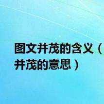 图文并茂的含义（图文并茂的意思）
