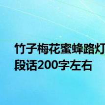 竹子梅花蜜蜂路灯写一段话200字左右