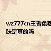 wz777cn王者免费领皮肤是真的吗
