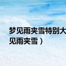 梦见雨夹雪特别大（梦见雨夹雪）