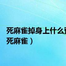 死麻雀掉身上什么预兆（死麻雀）