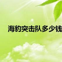 海豹突击队多少钱？