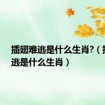 插翅难逃是什么生肖?(插翅难逃是什么生肖)