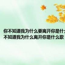 你不知道我为什么要离开你是什么歌(你不知道我为什么离开你是什么歌)