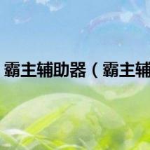 霸主辅助器（霸主辅助）