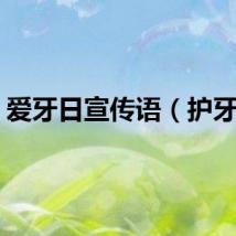 爱牙日宣传语（护牙日）