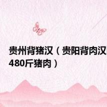 贵州背猪汉(贵阳背肉汉回应背480斤猪肉)