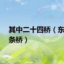 其中二十四桥（东四十条桥）