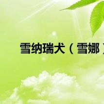 雪纳瑞犬（雪娜）