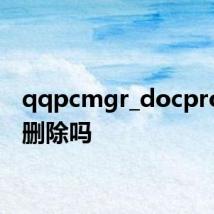 qqpcmgr_docpro可以删除吗
