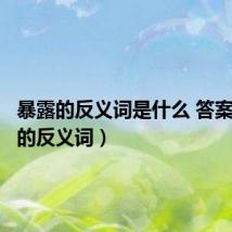 暴露的反义词是什么 答案(暴露的反义词)