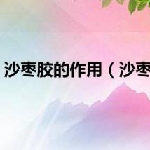 沙枣胶的作用（沙枣胶）