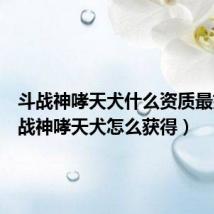 斗战神哮天犬什么资质最好（斗战神哮天犬怎么获得）