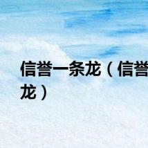 信誉一条龙（信誉一条龙）