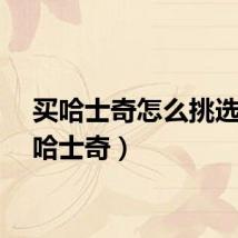 买哈士奇怎么挑选（买哈士奇）