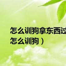 怎么训狗拿东西过来（怎么训狗）