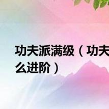 功夫派满级（功夫派怎么进阶）