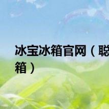 冰宝冰箱官网（聪宝冰箱）