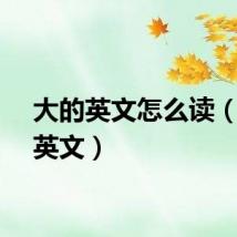 大的英文怎么读(大的英文)