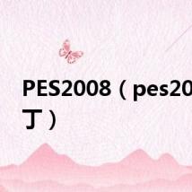 PES2008(pes2008补丁)