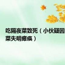 吃隔夜菜致死(小伙疑因吃隔夜菜失明瘫痪)